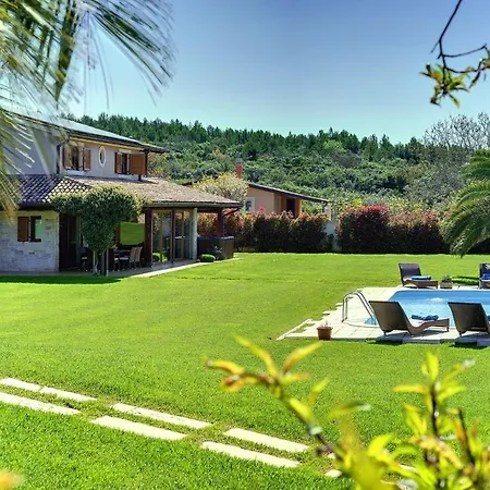 Sunny Flowers * Pomer